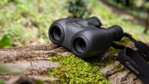 Canon 10x20 IS binocular review