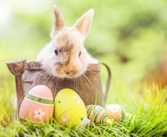 Why does the date of Easter change every year?