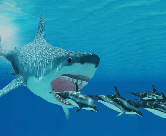 Megalodon: Facts about the long-gone, giant shark